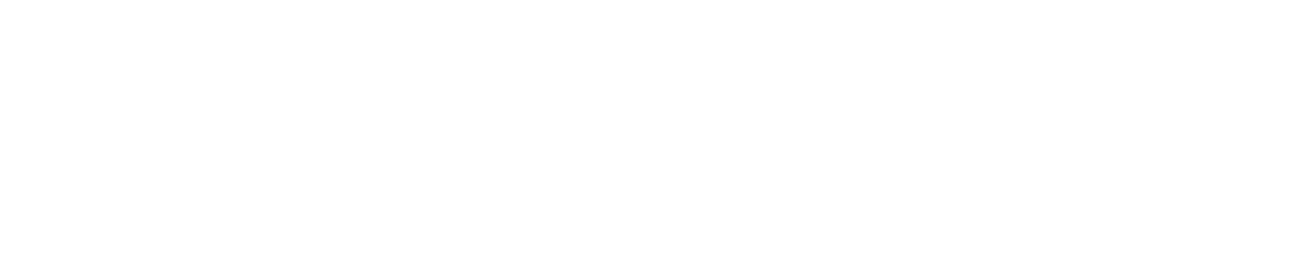 SELFTURN-Logo Kopf Header